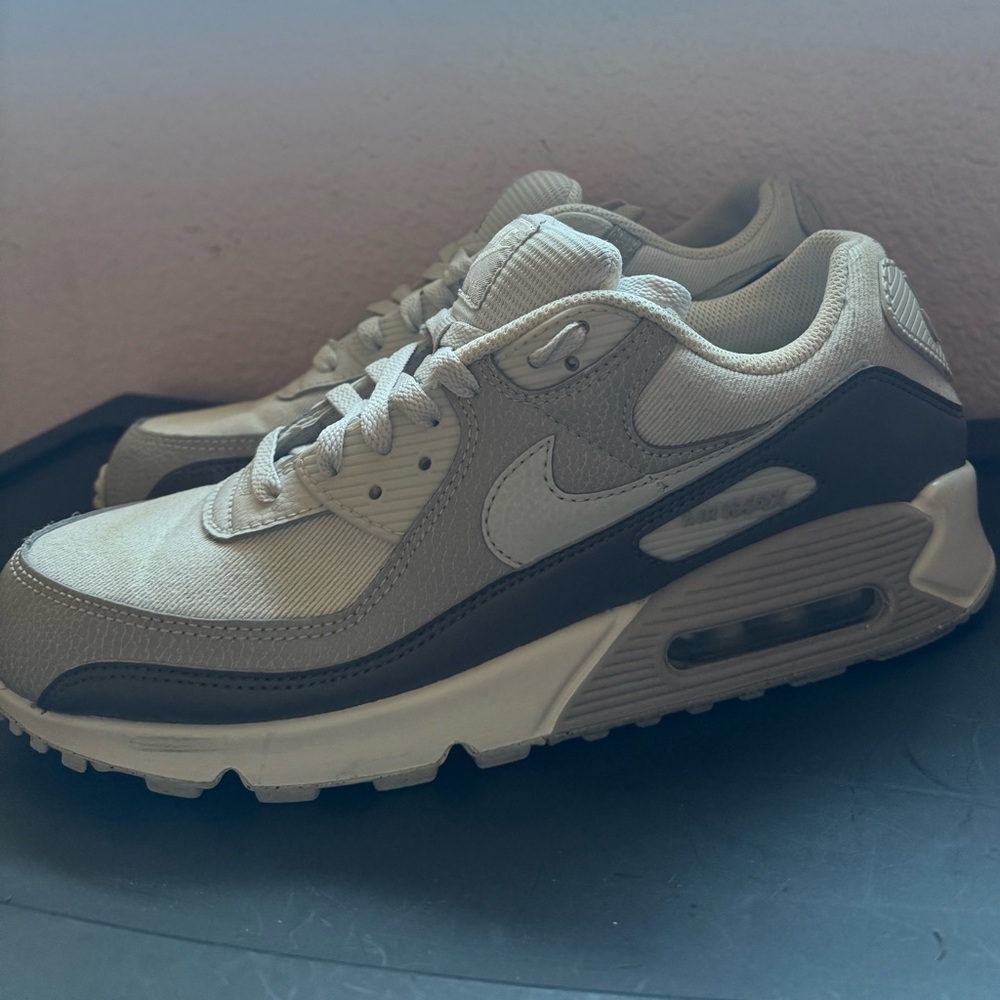 Nike Air Max 90 Gray and White Sneakers